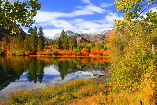 Eastern Sierra Fall Colors, Mammoth Lakes Rentals, Mammoth Condo Rentals, Mammoth Vacation Rentals, Mammoth Lakes Vacation Rentals, Mammoth Mountain Rentals, Mammoth Lakes Resort, Mammoth Lakes VIllage Rentals, Mammoth Mountain Cabin
